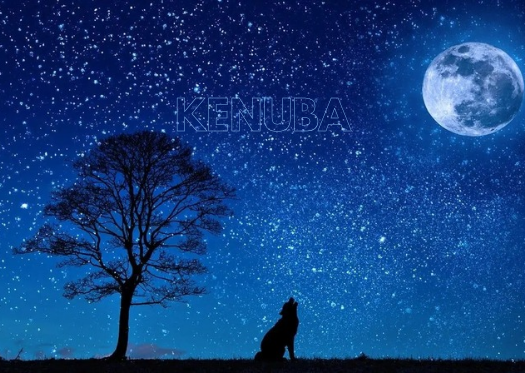 11 Most Auspicious Nakshatras for Marriage
